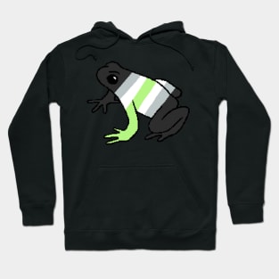 Pixel Agender Frog Hoodie